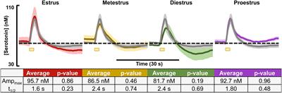 In vivo Hippocampal Serotonin Dynamics in Male and Female Mice: Determining Effects of Acute Escitalopram Using Fast Scan Cyclic Voltammetry